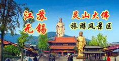 麻豆污污江苏无锡灵山大佛旅游风景区